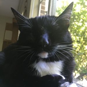 Meet your Posher, Whitney